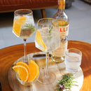 Conjunto de 2 Unidades de Taça de Cristal Taj 600ml - OFERTA DE NATAL